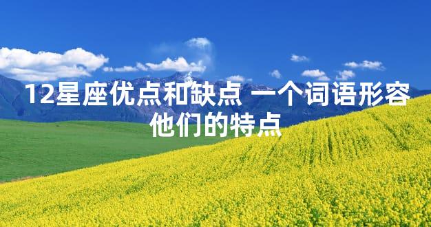 12星座优点和缺点 一个词语形容他们的特点